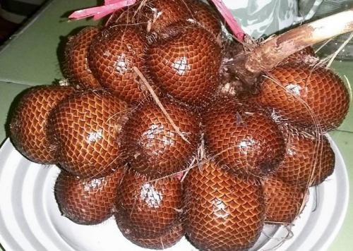 Salak Bongko. (Foto: Instagram/@nunnurfajriah)