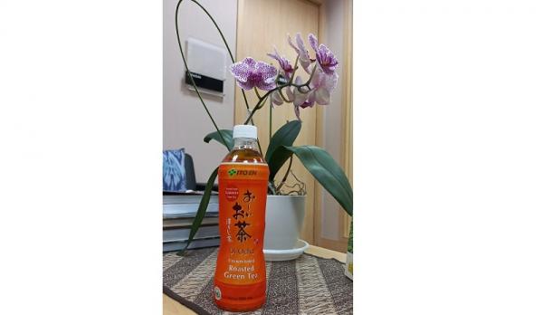 ITO EN Hojicha adalah teh khas Jepang dengan rasa otentik. (Foto: dok ITO EN Hojicha)