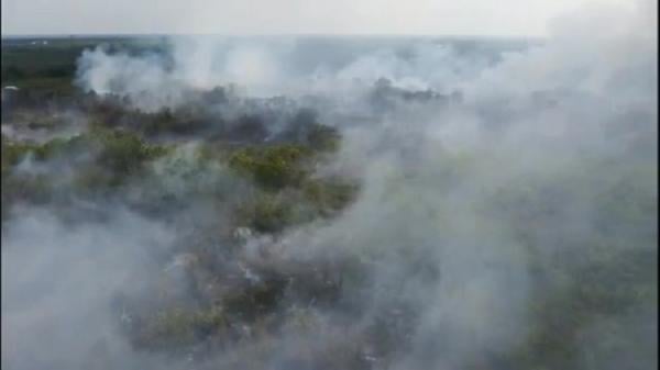 BNPB Deteksi 2.102 Titik Api di Sumsel, Penyebab Kebakaran Hutan dan Lahan