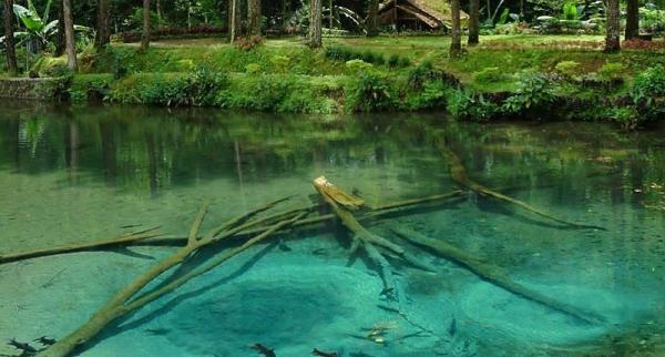6 Tempat Wisata di Jawa Timur selain Bromo, Unik Bisa Lihat Ikan Purba