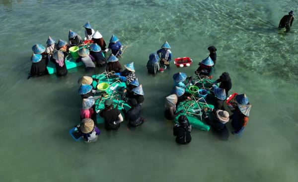 Restorasi terumbu karang di Sheba Hope Reef di Pulau Bontosua, Makassar. (Foto: dok Alfamart)