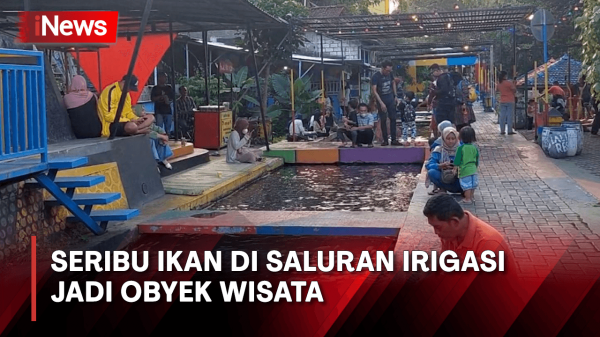 Wisata Murah Meriah Di Yogyakarta Berisi Seribu Ikan Di Saluran Irigasi