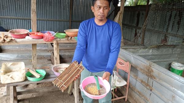 Kisah Sukses Peternak Magot di Batubara 3 Kisah Sukses Peternak Magot di Batubara, Tekan Biaya Pakan dengan Limbah Kantin Inalum (foto: iNews/Wahyudi Aulia Siregar)