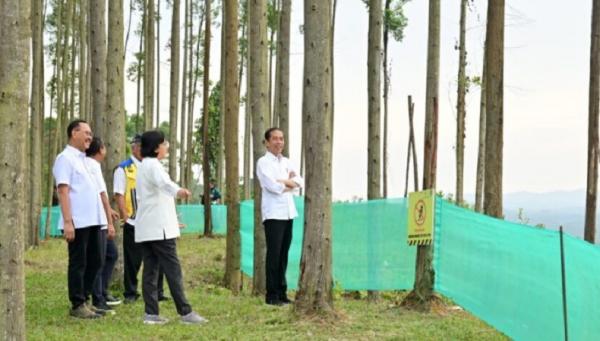 Presiden Jokowi dan para menteri menikmati udara pagi di IKN Nusantara. (Foto: Setpres)