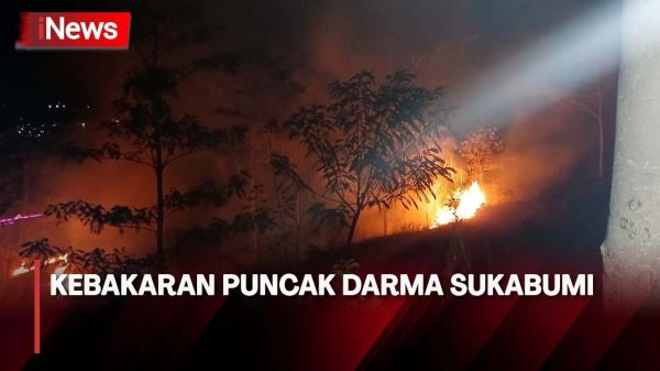 Kobaran Api Membakar Lahan Di Puncak Darma Sukabumi 4307