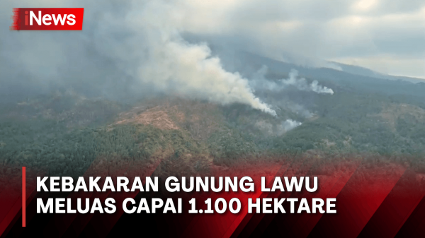 Kebakaran Meluas Capai 1.100 Hektare, BNPB Siapkan Helikopter Water ...