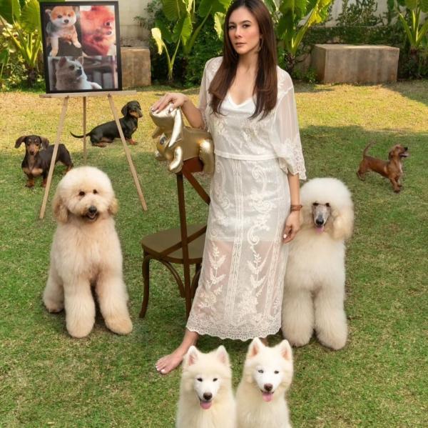  Para artis pemotretan bareng anjing peliharaan. (foto: instagram)