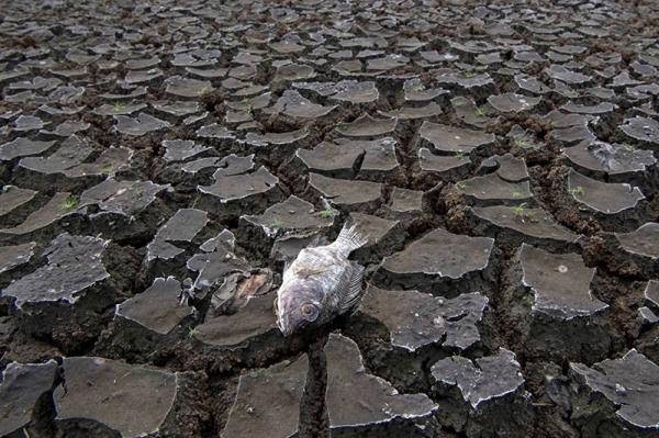 Hadits Tentang Danau Tiberias Yang Kondisinya Kini Kering, Pertanda ...