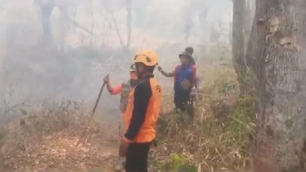 Kebakaran Lahan Di Lereng Gunung Agung, BPBD Bali Catat Sudah Capai 1. ...