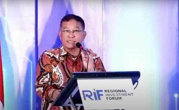 BKPM Saribua Siahaan Direktur Promosi Wilayah Asia Tenggara, Australia, Selandia Baru, dan Pasifik Kementerian Investasi/BKPM Saribua Siahaan (Foto: dok Kementerian Investasi/BKPM)