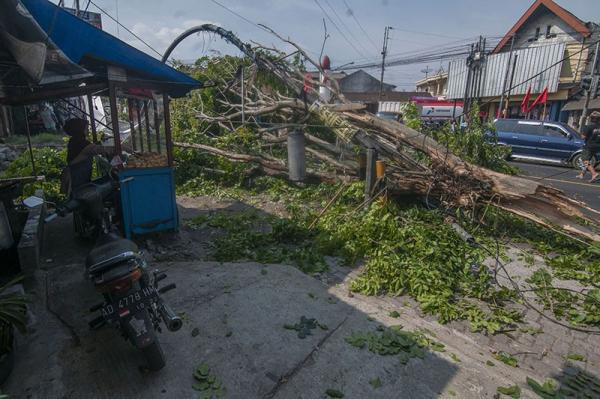 Pohon Tumbang Menimpa Truk Di Jalan Solo Semarang