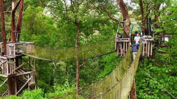 Destinasi Wisata Alam Dekat IKN Nusantara, salah satunya Bukit Bangkirai. (Foto: Kaltimprov)