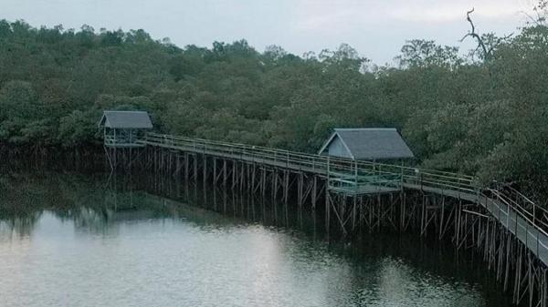 Destinasi Wisata Alam Dekat IKN Nusantara, salah satunya Hutan Mangrove Mentawir. (Foto: Kemenparekraf)