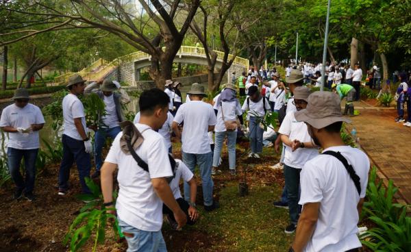 PT Angkasa Pura I menanam 350 bibit pohon PT Angkasa Pura I menanam 350 bibit pohon untuk pelestarian lingkungan. (Foto: dok AP1)