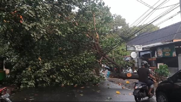 Hujan Deras Disertai Angin Kencang Di Makassar, Pengendara Dilarikan Ke ...