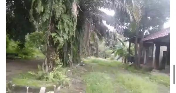 Kampung Artis yang Terbengkalai. (Foto: istimewa)