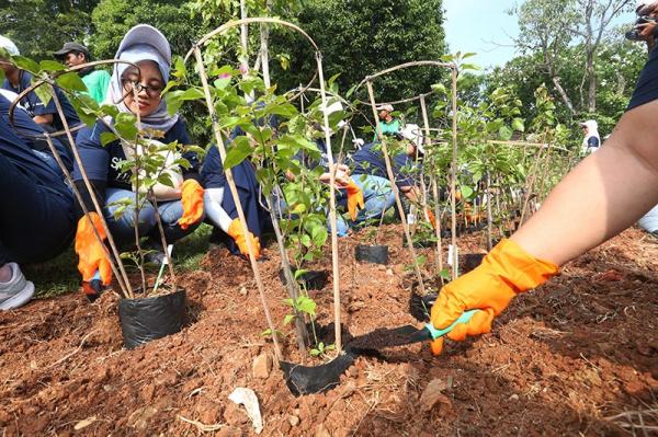 Partai Perindo Dorong Kolaborasi Pemerintah dan Masyarakat Hadapi Triple Planetary Crisis
