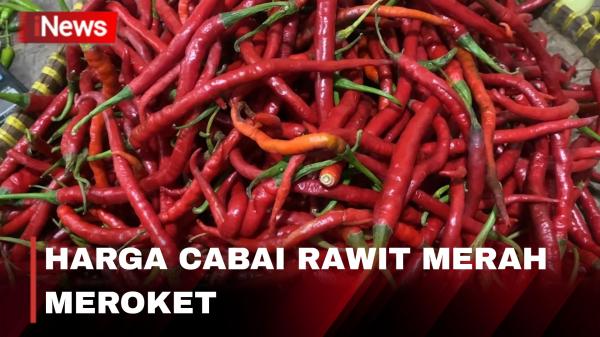 Harga Cabai Meroket! Omzet Pedagang di Banjarnegara Turun 60 Persen Harga Cabai Meroket! Omzet Pedagang di Banjarnegara Turun 60 Persen