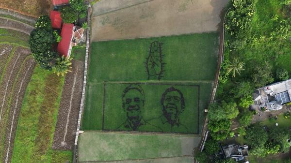 Seniman Semarang Buat Lukisan Ganjar-Mahfud Seniman Semarang Buat Lukisan Ganjar-Mahfud dengan Media Tanaman Padi di Sawah (Foto: Istimewa)
