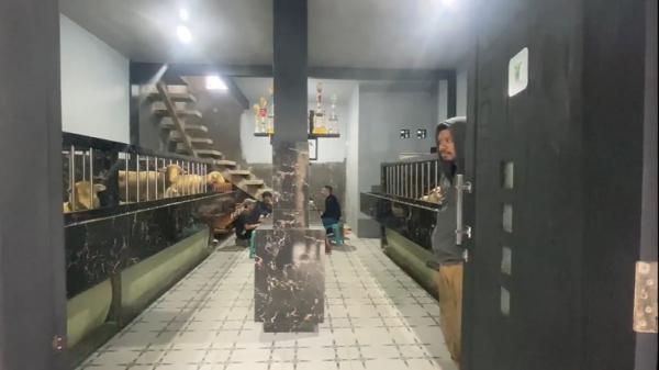 Rumah mewah seharga Rp500 juta di Banjarnegara, Jawa Tengah dihuni puluhan domba kontes. (Foto: Elis Novit).