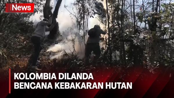 Pemerintah Kolombia Mengumumkan Bencana Kebakaran Hutan diluar Ibu Kota Bogota