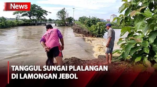 Tanggul Sungai Plalangan Di Lamongan Jebol, Puluhan Hektare Tambak Dan ...