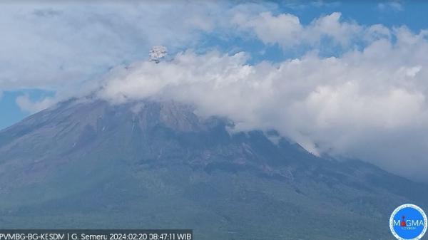 Erupsi Gunung Semeru Pagi Ini, Tinggi Letusan Capai 600 Meter di Atas Puncak