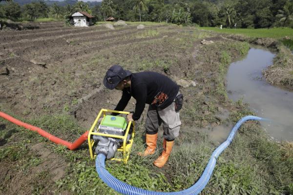 Galakkan Pompanisasi Lahan Sawah, Mentan Pastikan Pertanaman 2024 Aman