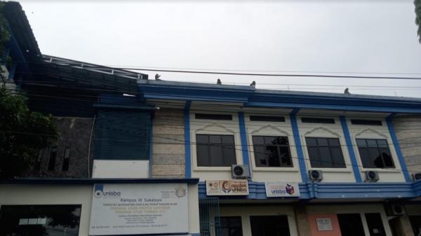 Gerombolan monyet liar masuki Kota Bandung Gerombolan monyet liar nongkrong dan berkeliaran di atap gedung hingga rumah warga Kecamatan Coblong, Kota Bandung. (Foto: Istimewa).