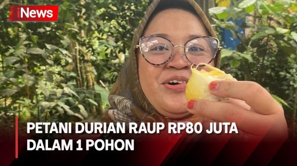 Petani di Banjarnegara Mampu Hasilkan 20 Macam Jenis Durian Super dari 1 Pohon Durian