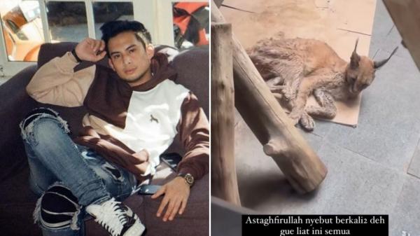 Dihujat Gegara Telantarkan Kucing Peliharaan, Okin Buka Suara: Gue Nggak Tinggal di Rumah Itu