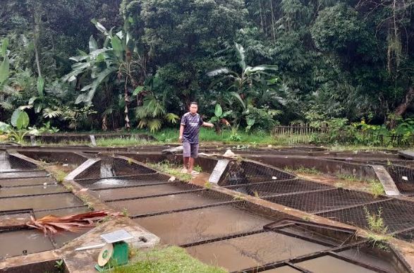 Klaster budi daya ikan di Cijeruk, Kabupaten Bogor. (Foto: MPI)