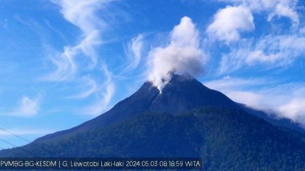 Erupsi Gunung Lewotobi Laki-Laki Pagi Ini, Semburkan Abu Vulkanis 200 Meter