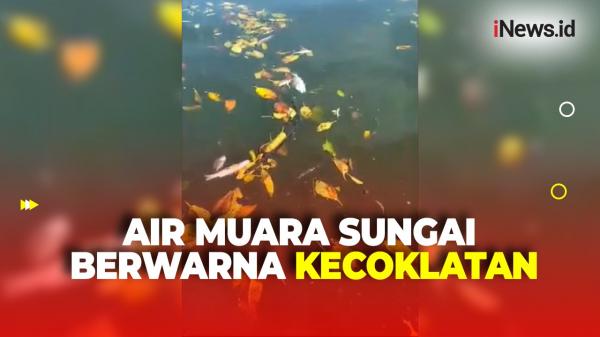 Air Muara Sungai Marana di Maros Sulawesi Selatan Tercemar, Puluhan Ikan Ditemukan Mati Mendadak<