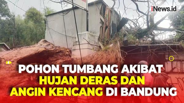 Pohon Beringin Raksasa Tumbang Timpa Rumah Warga dan Warung di Bandung<