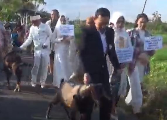 Empat pasangan pengantin menuntun kambing saat hendak melakukan ijab kabul di peternakan kambing, Sewon, bantul. (Foto: iNews)