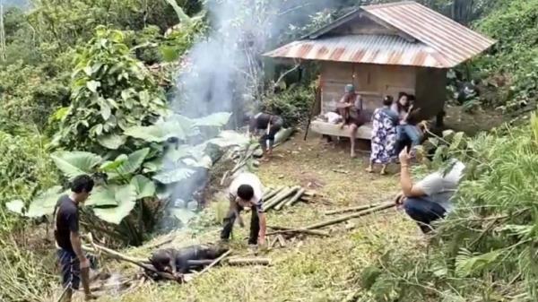 Viral Video 5 Remaja Acak-Acak Makam Suku Toraja, Langsung Dihukum Adat