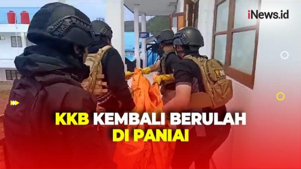 Meresahkan, KKB Kembali Berulah Bakar Mobil dan Tembak Mati Sopir di Paniai