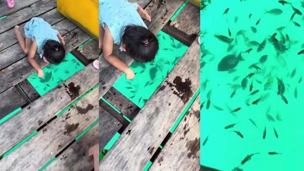 Pesona Pulau Tambelan, Seru Bisa Mancing dari Dalam Rumah