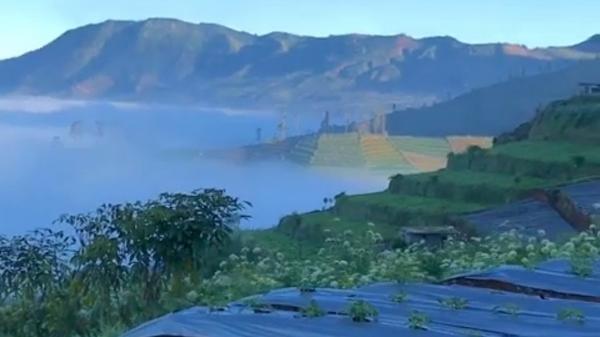 6 Desa di Banjarnegara Sangat Menakjubkan, Suasananya Sejuk Dikelilingi Kebun Sayur