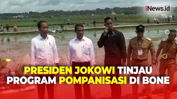 Semangati Petani, Presiden Jokowi Tinjau Program Pompanisasi di Bone