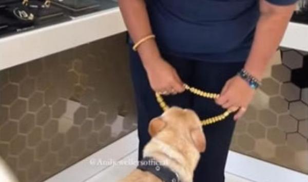 Viral Perempuan Ini Beri Hadiah Anjing Peliharaan Kalung Emas Senilai Puluhan Juta