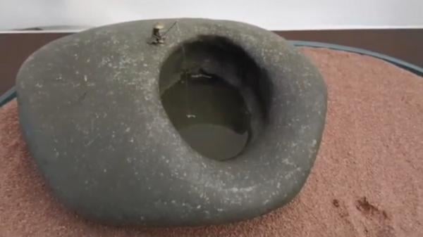 Pameran batu suiseki atau batu sungai dan gunung yang dibentuk oleh alam digelar di Surabaya, Sabtu (13/7/2024). (Foto: Hari Tambayong).