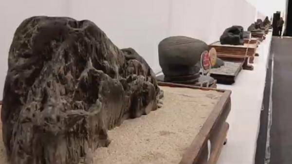 Pameran batu suiseki atau batu sungai dan gunung yang dibentuk oleh alam digelar di Surabaya, Sabtu (13/7/2024). (Foto: Hari Tambayong).