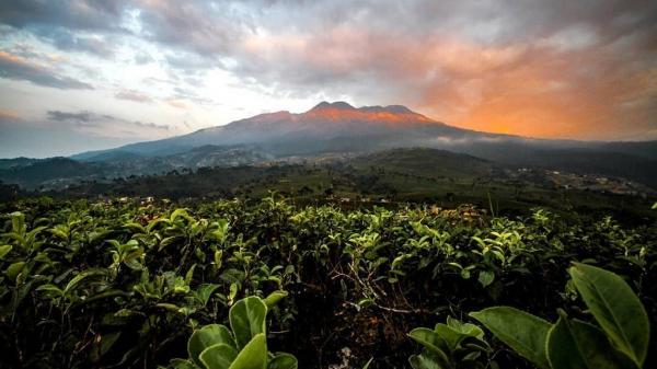 5 Desa di Karanganyar Sangat Menakjubkan, Suasananya Alami Bikin Kangen Kampung Halaman 