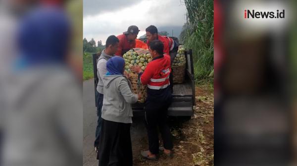 Masjid Nurul Ashri Sleman Borong Puluhan Ton Sayuran Petani, 12 Macam ...