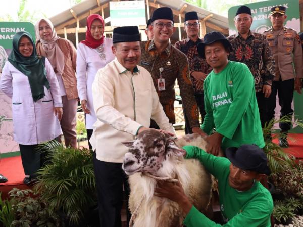 Berdayakan Mustahik, BAZNAS Luncurkan Balai Ternak di Kabupaten Banyumas