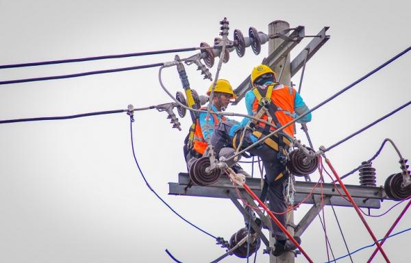 Petugas PLN lakukan penguatan infrastruktur untuk melistriki KEK Kendal, sebagai wujud dukungan PLN kepada pemerintah dalam mendukung hilirisasi industri mineral dan pengembangan ekosistem kendaraan listrik. (Foto: dok PLN)