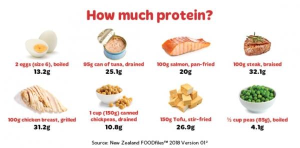 sumber protein sumber protein