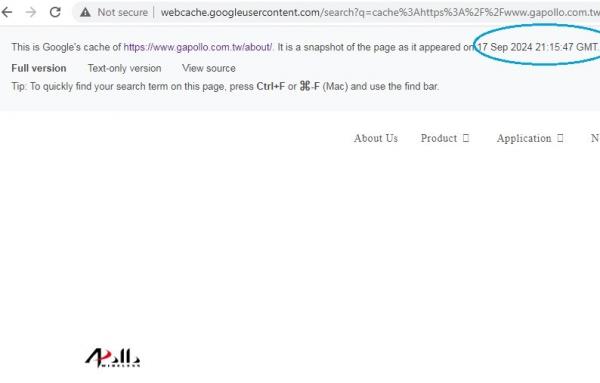 Cache Google Situs resmi Gold Apollo, produsen pager asal Taiwan, masih bisa diakses pada Selasa (17/9/2024). (Foto: tangkapan layar)